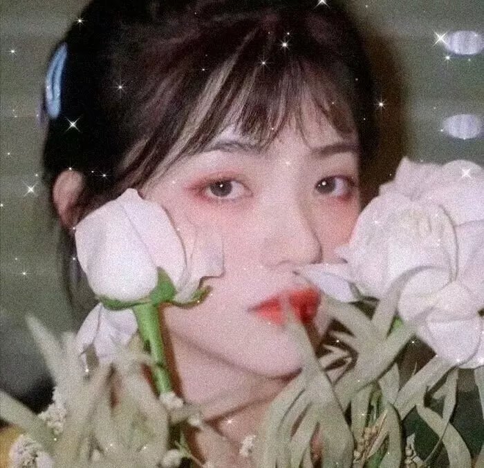 女孩的灵缇犬